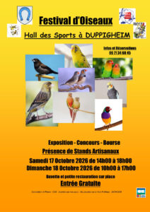 Affiche-COS-2026