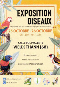 Affiche-COVT-2025