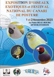 Affiche-ao3f-CTP-2025