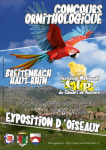 Affiche-concours-2026