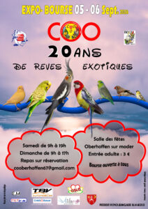 affiche-COO-2026