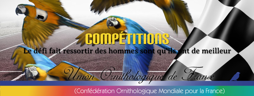 Compétitions